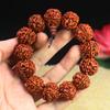 Natural 5-Lobed Rudraksha Bodhi Seed Prayer Beads Bracelet