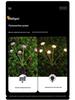 Pilzform Solar-LED-Lichterkette, Wasserdichte Outdoor-Campinglichter, Quallen-Design mit Windbetrieb