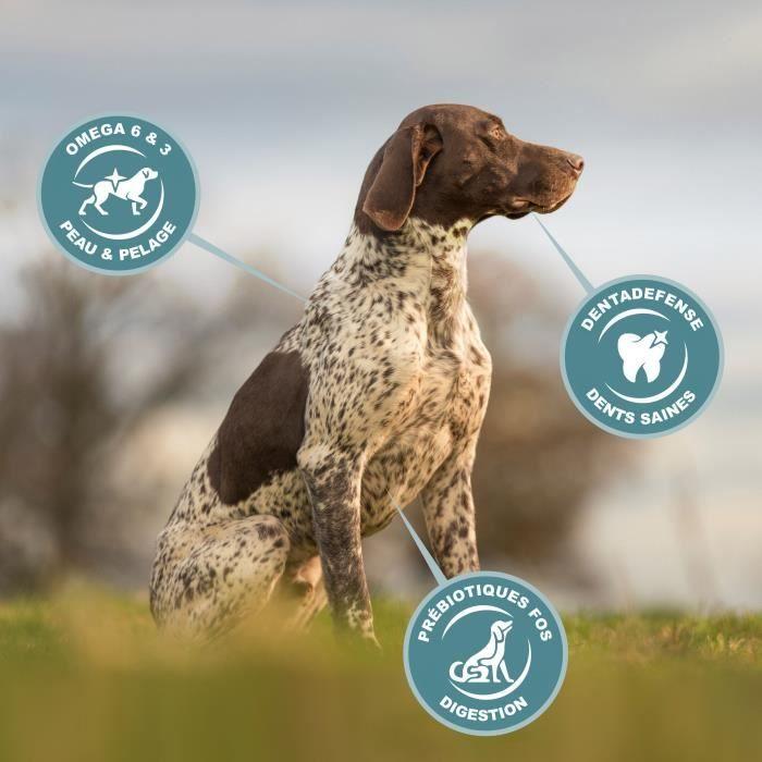 EUKANUBA Croquettes Premium Chiens Adultes Grandes Races - 100% Complète Et Equilibrée - Au Poulet Frais - Sans OGM - 15kg