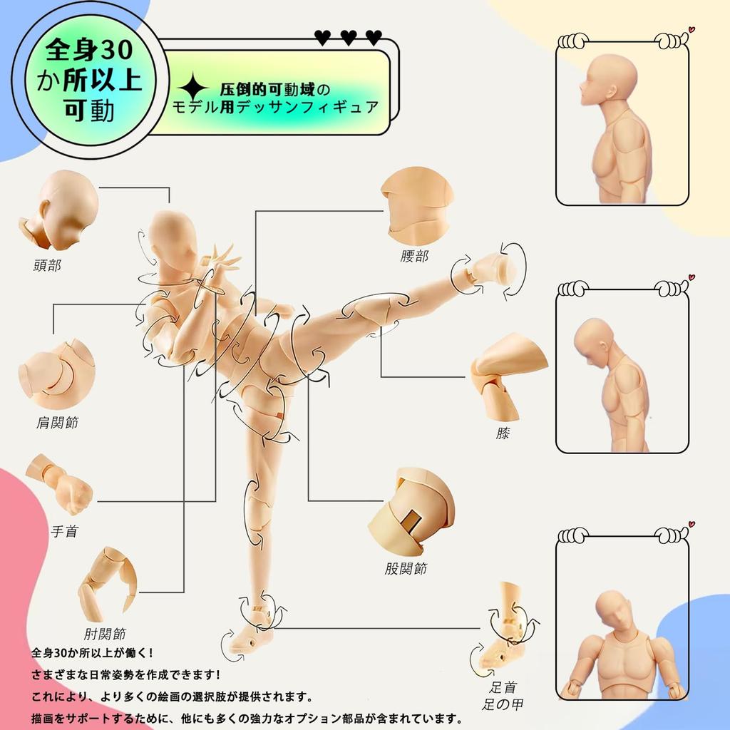 Drawing Male Female Model with Stand by Professional Manga for Manga and Muscle Drawing Sketch Drawing Art Educational Male Doll, 30-Jointed, &