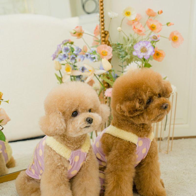 SALTYHEARTY Pogle Dot All-in-One