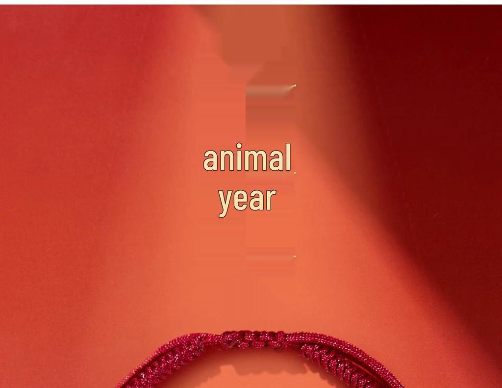 2025 Dragon Year Cinnabar Zodiac Guardian Hand-Woven Red Rope Bracelet for All Genders and Children