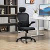 Multi-Adjustable Office Chair, with Lumbar Support, Headrest and Mesh Back - Black