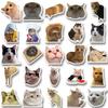 10/30/50pcs Funny MEME Cat Cartoon Graffiti Stickers Cute Animal Decals Kid Toy DIY Suitcase Stationery Phone Waterproof Sticker