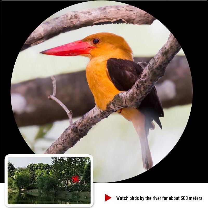 Leaysoo Professional Zoom Optics
