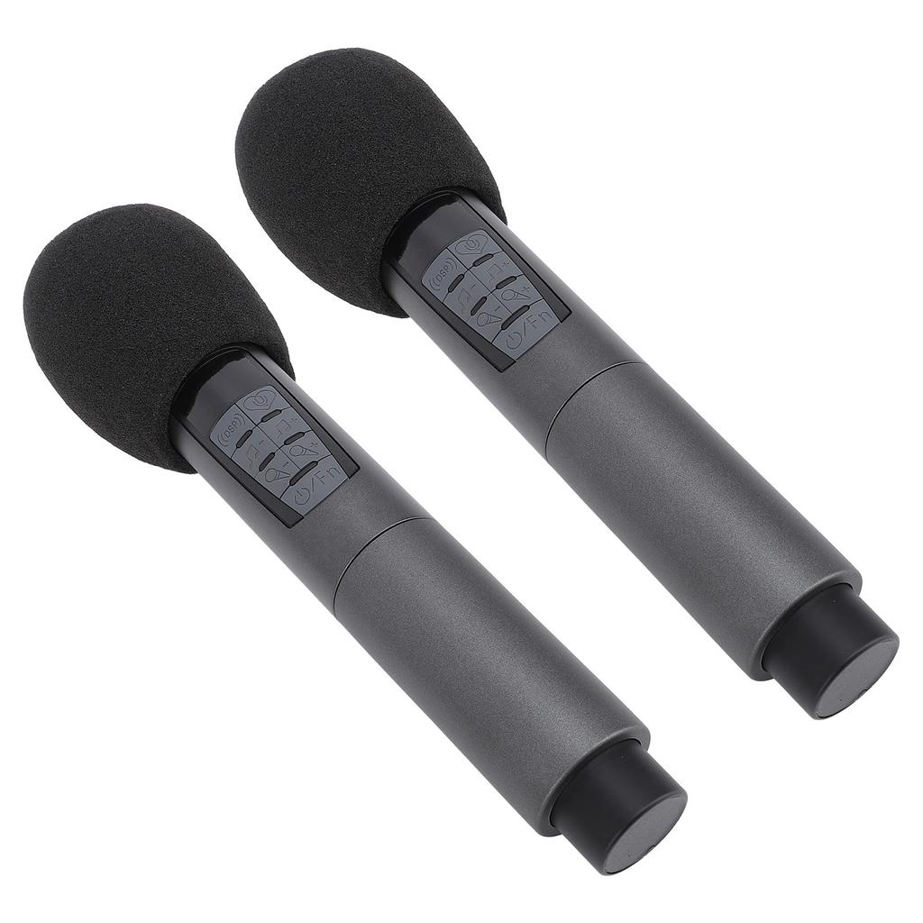 Drahtlose Dynamische Mikrofon mit 2,4G Empfänger 10 Kanäle Anti Störungen Bluetooth Wireless Zwei