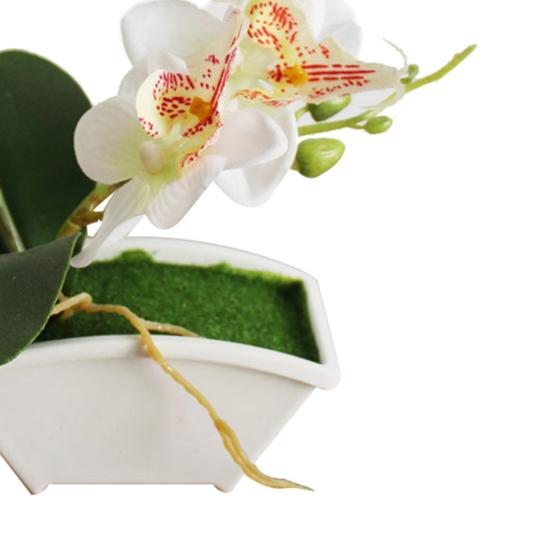 Butterfly Orchid Flower Home Office Decor with Flowerpot