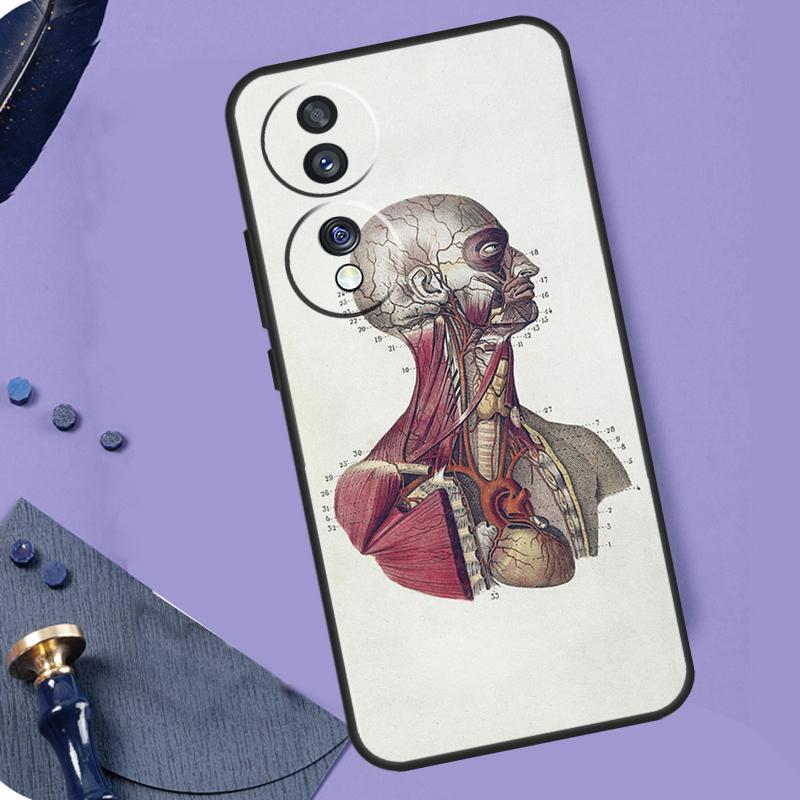 Medical Human Anatomy Case For Honor X8b X9b X9a X8a X7a X6a X7 X8 X9 Cover For Honor Magic 6 5 Pro 50 70 90 Lite