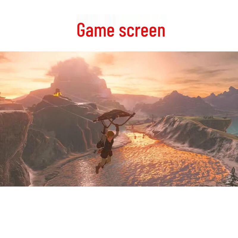 Nintendo Switch The Legend of Zelda: Breath of the Wild