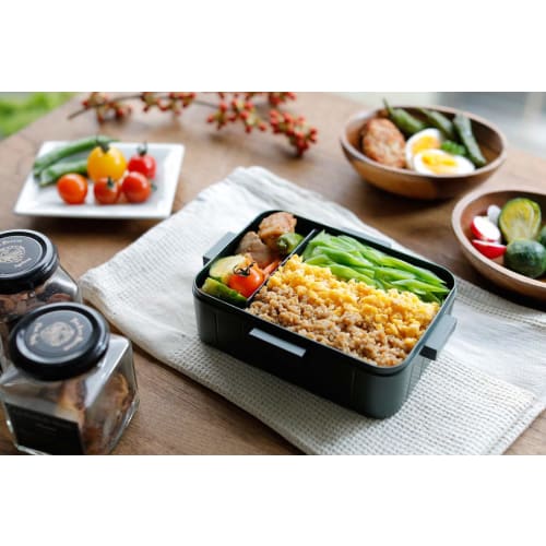 Skater Ag+ Silver Ion Antibacterial 4 Point Lock Bento Box 650ml Totoro My Neighbor Totoro Face Ghibli YZFL7AG