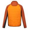 Regatta Mens Andreson VIII Hybrid Jacket