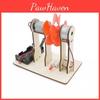 Science Experiment Wind Power Generation Diy Kit School Science Educational Model