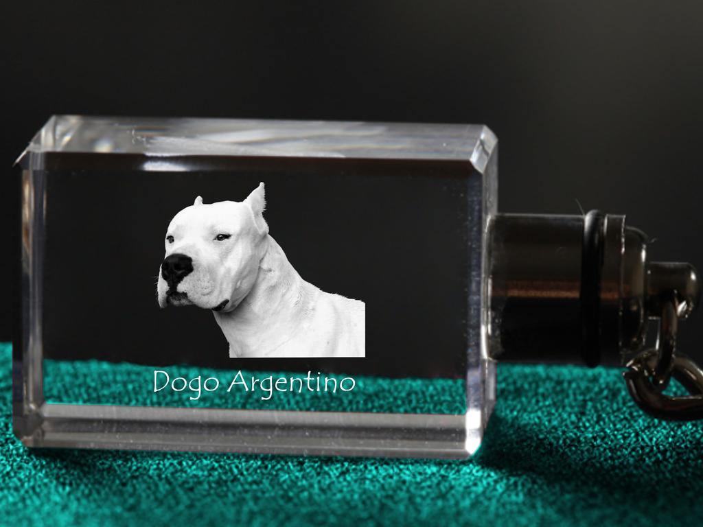 Dogo Argentino - Crystal Key Ring with Dog Photo, Illuminated Key Ring, Unique Gift by Art-Dog Brand