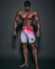 FIED IFBB 16 Inch Physique Board Shorts Posing Trunks Competition Swimming Summer NPC Number [FIED] Men's (JP, Size, 26, Pink) [Item]