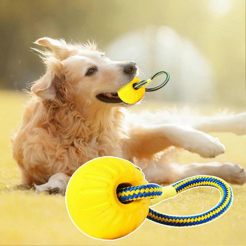 Pet Ball Toy Protruding Surface Exercise Jaw Dental Care Bounces Bite Engaging Dog Chew Ball Pet Supplies