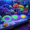 Decorative Realistic Silicone Coral Plant Colorful Non-Toxic Simulation Coral Fluorescence Coral Ornament Underwater World