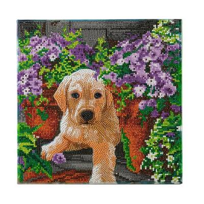 Diamond Painting Kit - CRYSTAL ART - Floral Pup - 30x30cm - 11 Pieces - Interior