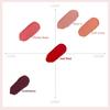 JUNGSAEMMOOL New Classic Matte Lipstick