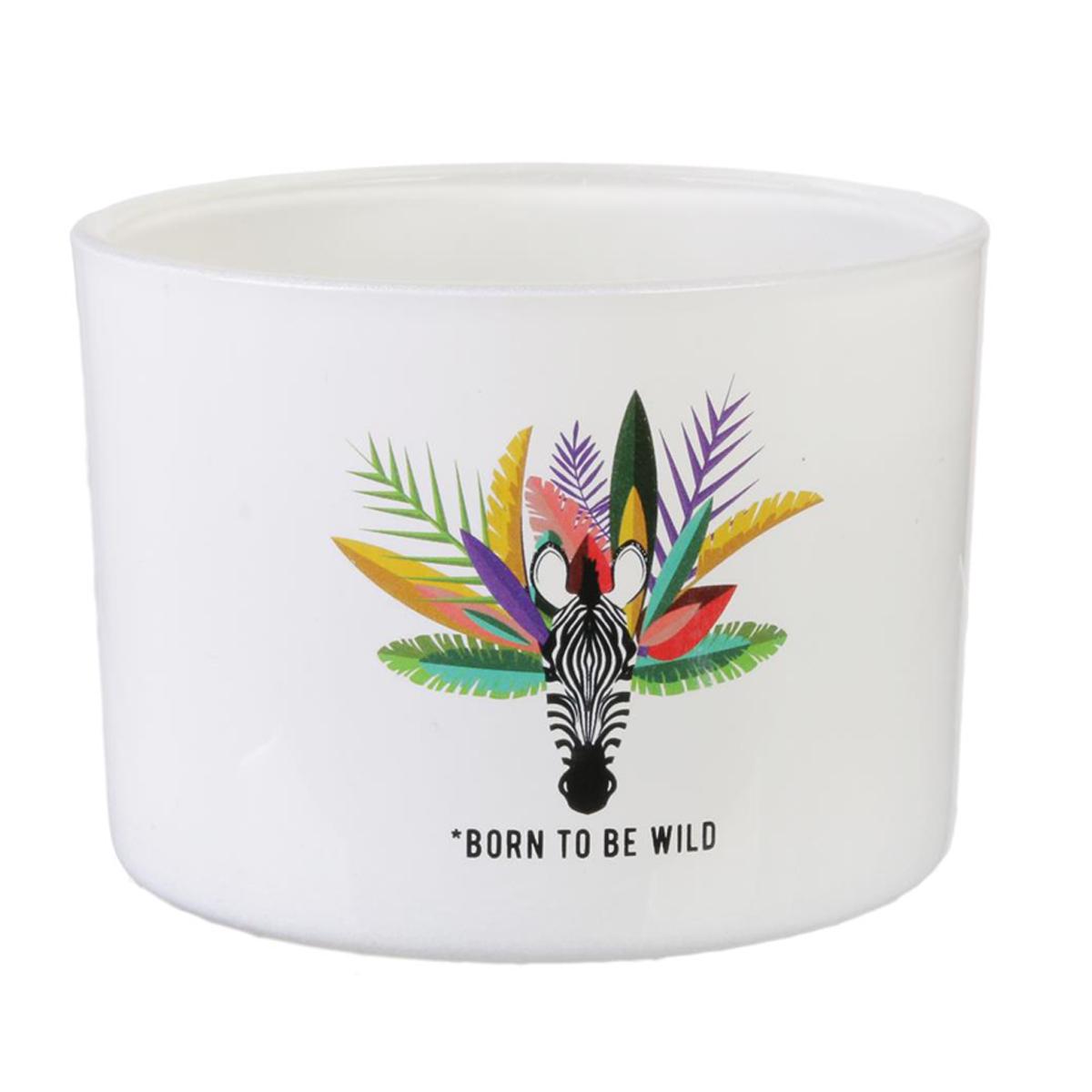 

Les Trésors De Lily [Q7708] - Свеча декоративная Tropical белая (Zebra - Born to be wild) 3 фитиля - 13x8. 5 см белый