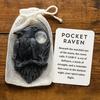 Raven Pocket Hug with Positive Card Emotional Support Crow Pocket Token Bird Decoration Inspirational Encouragement Gift