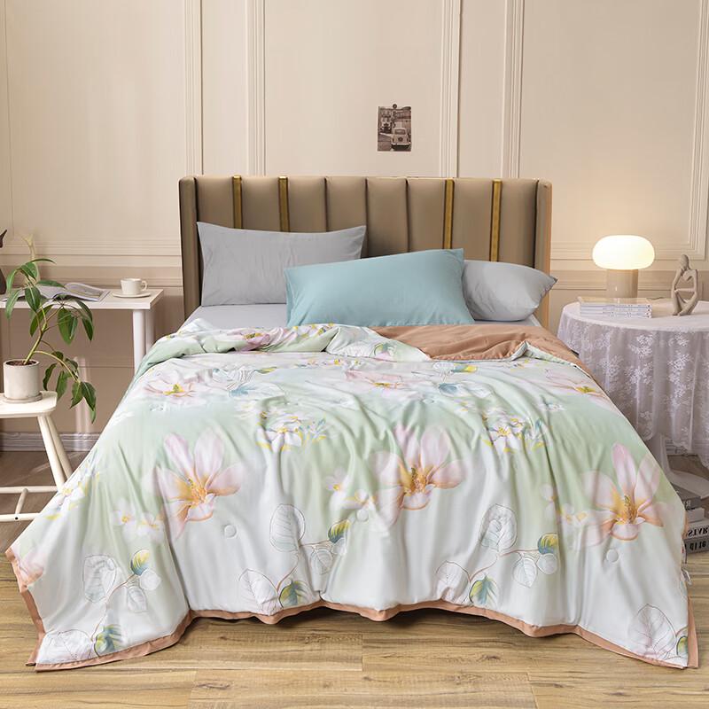 

Jie Li Ya Dream Jiangnan Soy Fiber Lightweight Quilt