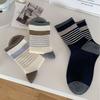Women's Fall Trend Simple Striped Curled Boneless Mid Barrel Pile Cotton Socks