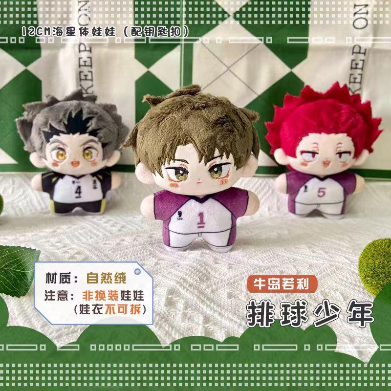 Haikyuu Volleyball Plush Kuroo Tetsurou Yu Nishinoya Sugawara Koushi Akaashi Keiji Anime Cosplay Stuffed Doll Pendant Kids Gift