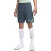 Nike Dri Fit Soccer Bottom Men's Faded Spruce/Bicoastal Color/Enamel Green FQ2426-359