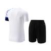 Li Ning Badminton Series Color Block Soft Comfortable Versatile Short Sleeve T-Shirt Mid Waist Shorts Casual Sports Set Unisex Sports Set AATV045-2