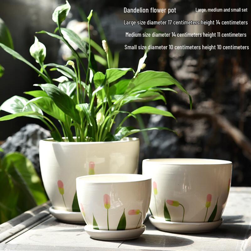 Ceramic Succulent Planter Set with Tray