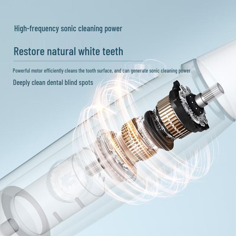 Yingqu T501 Sonic Electric Toothbrush CN plug (adapter included)