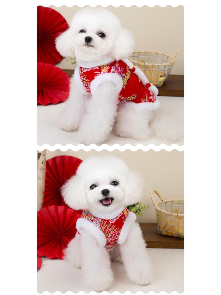 Pet Cats & Dogs Warm Tang Suit Vest - Autumn/Winter Thickened Chinese Style Cotton Waistcoat for Small Dogs