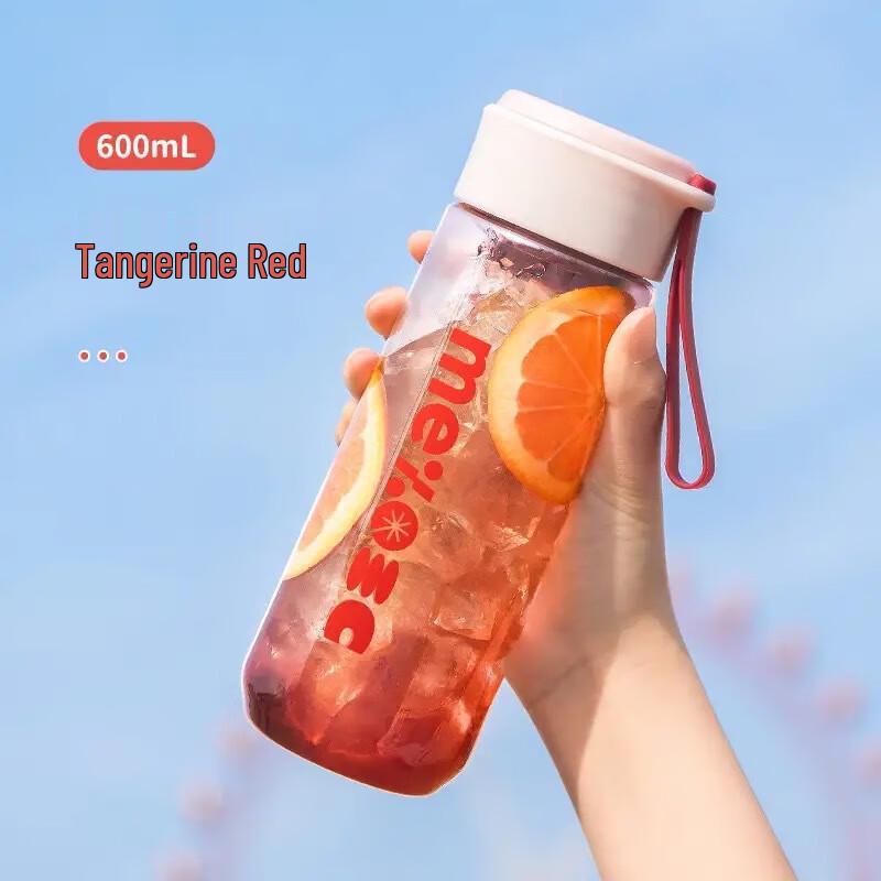 Nufeng Unisex Portable Water Bottle with Handle and Tea Infuser