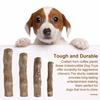 Yousheng Wood Dog Chew Stick Natural Wooden Bones Dog Teeth Cleaning Toy Dental Health Care Stick Organic Pet Chews for Dogs