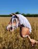 Hobby Horse Large Premium Stick Horse - Piebald Tobiano with White Mane A3