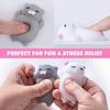 Set da 2 Gatti Squishy Morbidi Kawaii Gattini Giocattolo Antistress Regali Unici per Adolescenti Bambini Adulti Idea per Calze di Natale