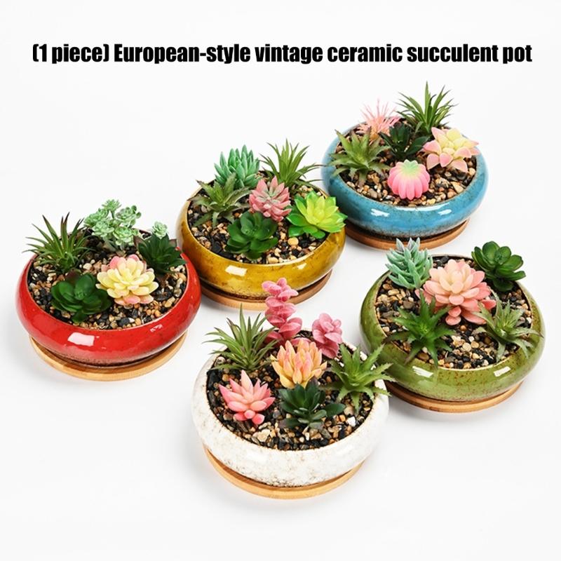 Round Shallow Ceramic Succulents Planter Bowl for Flower Succulents Cactuses Small Desktop Plant Container