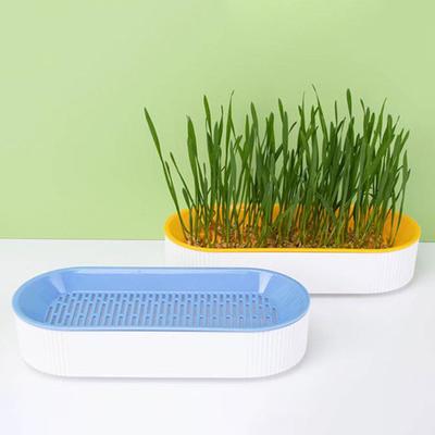 Katzengras-Pflanzgefäß, erdlose Bepflanzung, sichtbarer Wasserstand, Abflussgitter, U-Loch, stabile Spüle, abnehmbare Katzenminze-Wachstumsbox, Haustierbedarf