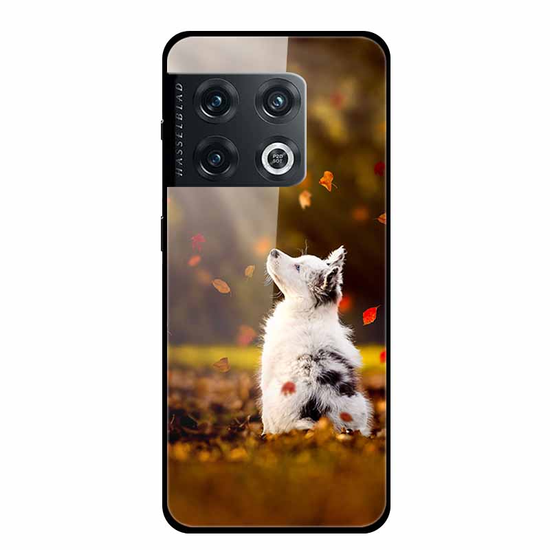 For One plus 10 Pro Case Shockproof Tempered Glass Hard Back Cover For OnePlus 10 Pro 10Pro Oneplus10 1+10 Pro Bumper Coque Case