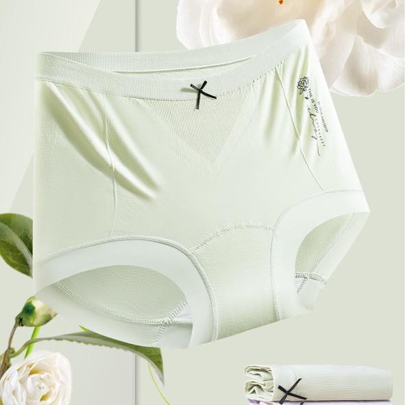 

Подарочная коробка «Камелия»: Женские бесшовные антибактериальные трусики с плоскими штанинами и удлиненной ластовицей M/L (40-60 kg)