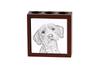 Basset Fauve De Bretagne, Brittany Basset – Pen Holder with a Dog, Desk Organizer with a Print | Art-Dog