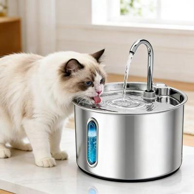Gatos – Louça para gatos