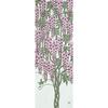Sen No Anbo Tenugui Wisteria Dye, 100% Cotton, Tokuoka Fabric, Made In Japan, 35cm X 100cm. Featuring the European Wisteria, Known for Covering
