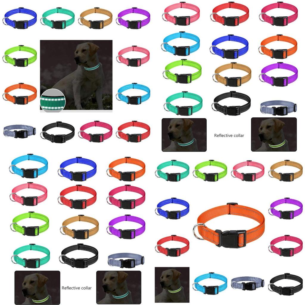 Durable Reflective Neoprene Dog Collar Available In 12 Vibrant Colors And 5 Sizes