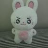 ZEROBASEONE Sung Han Bin 10cm Puppe