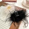 Design Ostrich Feather Grab Clip New Internet Celebrity Ins Wind Back Head Disc Hair Shark Clip Personalized Hair Accessories