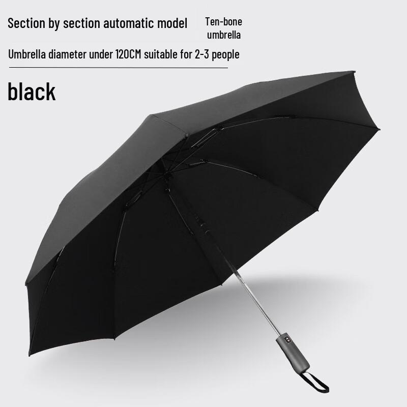 

Nanqiao NQ-920 Fully Automatic 10-Rib Reverse Folding Umbrella