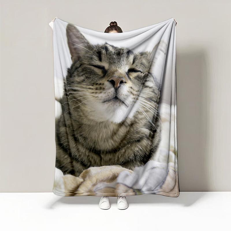 Blanket Cute Cat