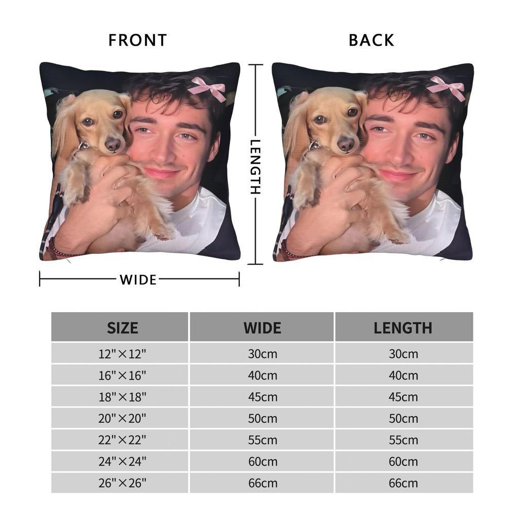 C-Charles Leclerc Pillow Cover Merch Printed Cushion Cover Decoration Throw Pillow Case Cover Home Multi Size