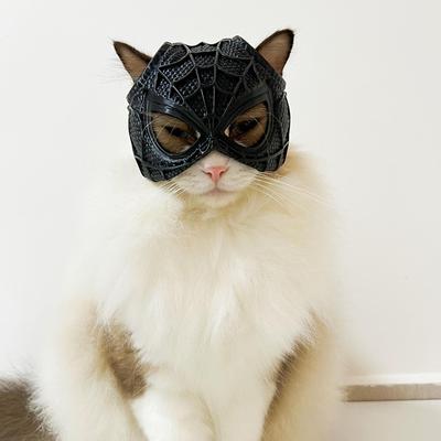 Spinnenkatzenmaske, Katzengesichtsmaske für Haustiere, gruseliges Halloween-Katzengesichtskissen, Fledermaus-Cosplay-Hut-Set für Partyatmosphäre